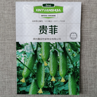 水果黄瓜种子强雌短棒嫩绿油亮春秋贵妃黄瓜种籽口感脆甜高产抗病