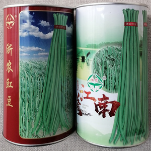 浙农豇豆种子锦绣江南浙江所育成