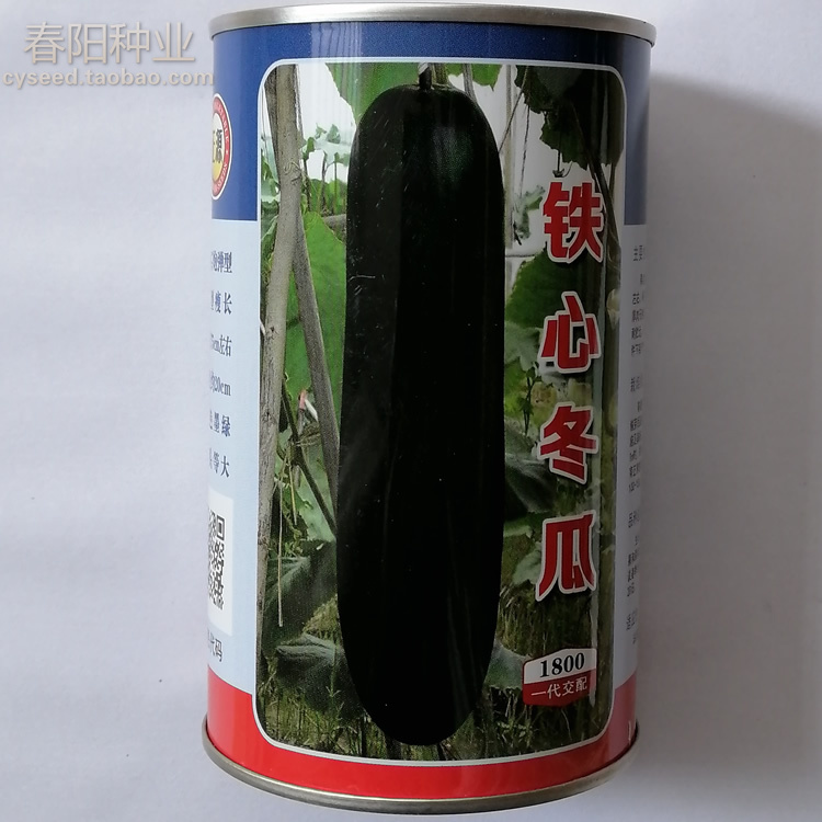铁心炮弹型墨绿肉质紧密冬瓜种子