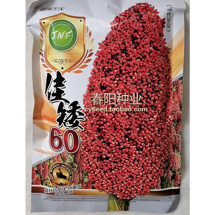 优质杂交红高粱种子60高产