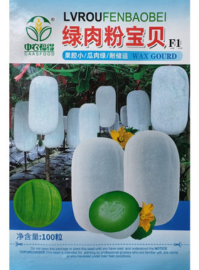 绿肉粉皮小冬瓜种子果腔小耐储运