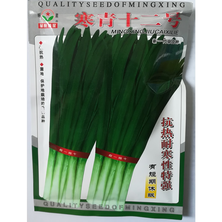 寒青十二号韭菜种子叶片宽阔抗热耐寒大田用杂交高产韭菜种子_虎窝淘