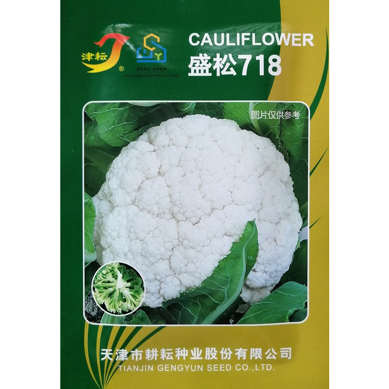 盛松718春秋杂交青梗松花菜种子
