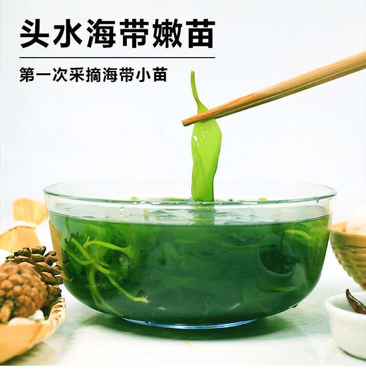 海带苗1斤嫩特级干货新鲜霞浦海带嫩苗海澡菜火锅配菜食材裙带菜