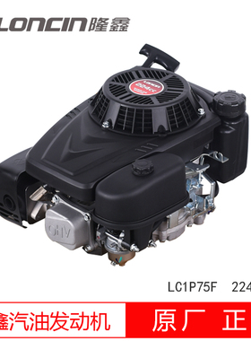 隆鑫1P70/75F垂直立轴汽油发动机196/224cc引擎遥控草坪机割草机