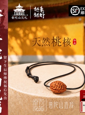 普陀山桃核编织黑绳锁骨链女款