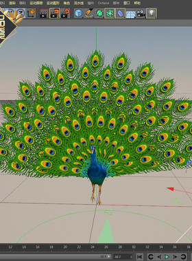 C4D孔雀模型含材质贴图骨骼绑定动画含fbx max文件学习交流参考用