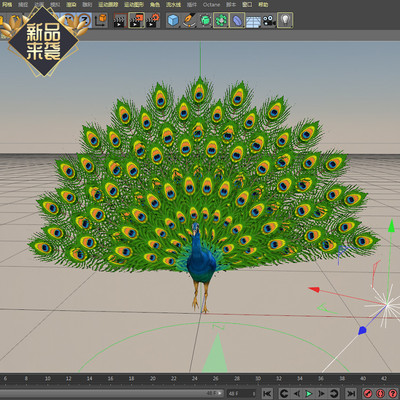 C4D孔雀模型含材质贴图骨骼绑定动画含fbx max文件学习交流参考用