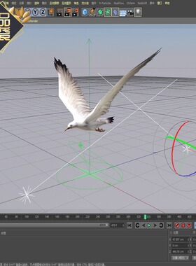 C4D海鸥含材质贴图动画工程文件学习交流参考不错哦送猫头鹰