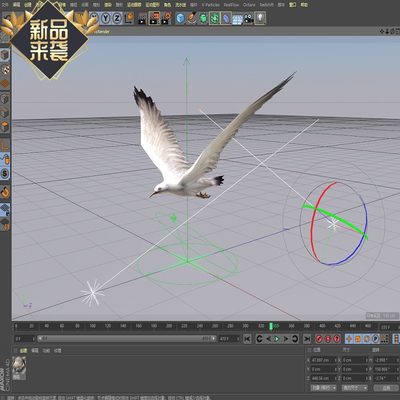 C4D海鸥含材质贴图动画工程文件学习交流参考不错哦送猫头鹰