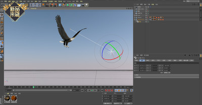 C4D老鹰飞翔模型含材质贴图对齐曲线动画工程文件学习参考素材