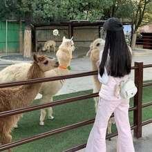 小众高级感菱格链条双肩包女2025新款韩系简约百搭通勤手提小背包