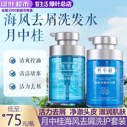 月中桂海风去屑洗发水沐浴露