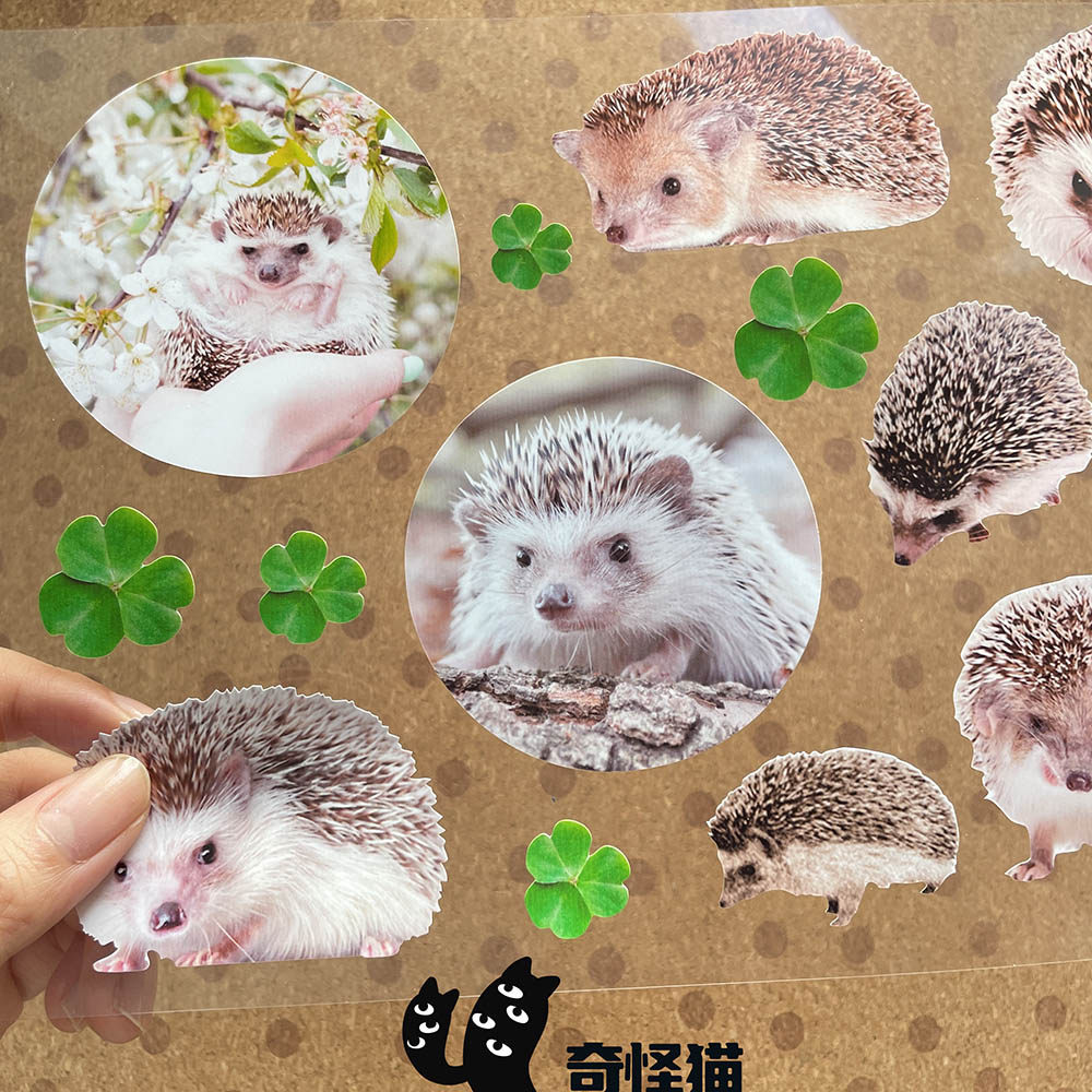 奇怪猫 动物系列可爱真实刺猬谷子ipad行李箱电脑手帐笔记本贴纸