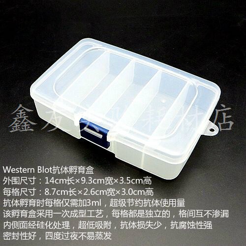 western blot抗体孵育盒 wb抗体孵育 免疫组化湿盒 各种规格齐全