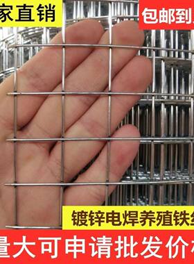 镀锌铁丝网围栏网养殖网钢丝网拦鸡网兔笼养鸡网鸟笼阳台防护网