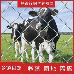 热镀锌铁丝网果园网养殖网体育球场围栏网不锈钢丝网菱形勾花网格