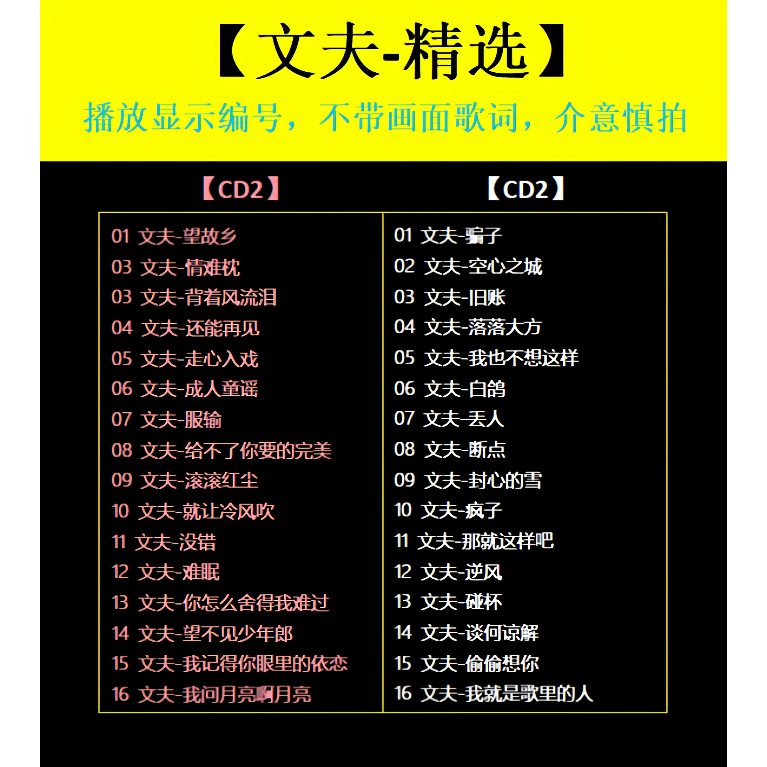 【文夫-精选CD】2张 车载碟片CD光盘经典成名曲WAV无损音质1715