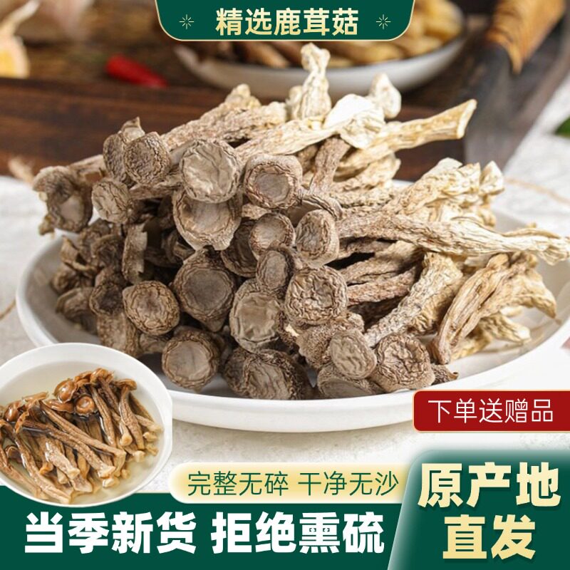 鹿茸菇干货500g野生非特级鹿茸菌新鲜脆脆菇蘑菇煲汤高山特产食材
