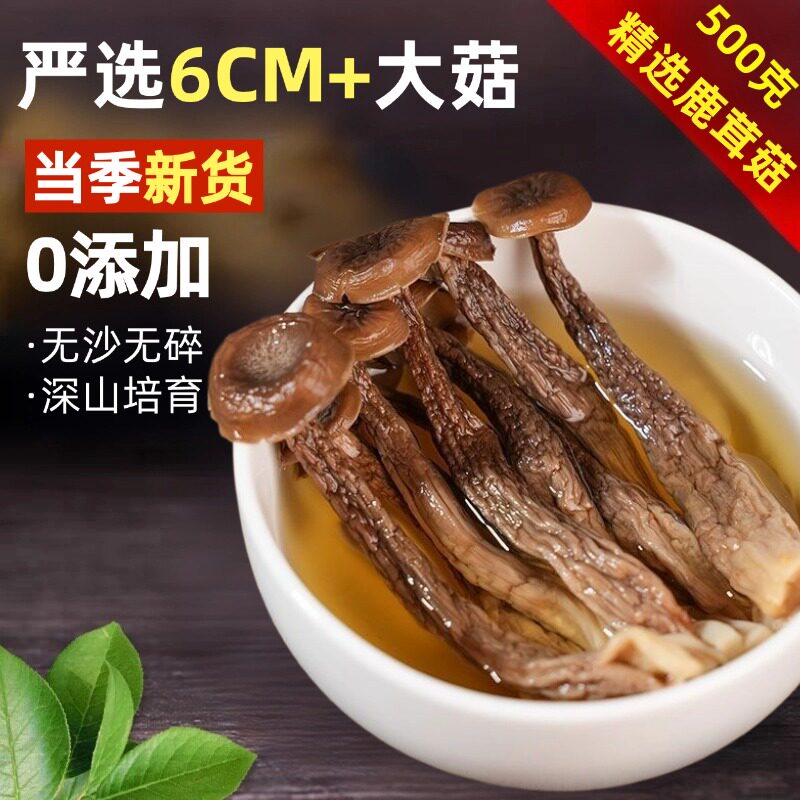 鹿茸菇干货500g非特级新鲜野生鹿茸菌高山特产煲汤滋补食材无熏硫
