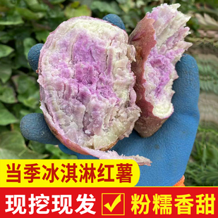 冰淇淋红薯新鲜一点红番薯紫心粉糯甜板栗薯花心农家自种干面地瓜