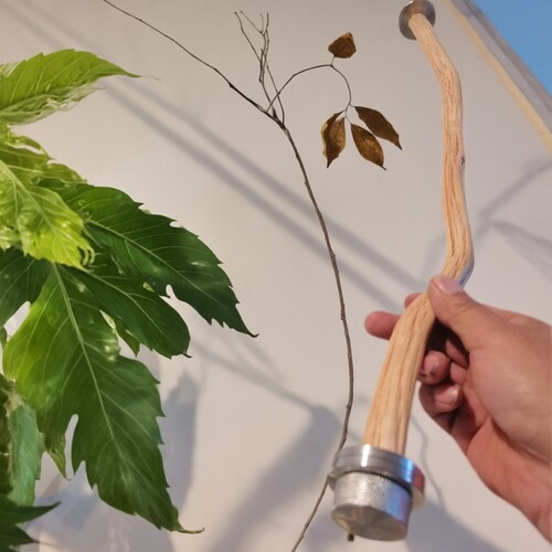 达洋笼子站杆B6047SS笼内站杆铁梨木站杆两头固定原木双头站杆