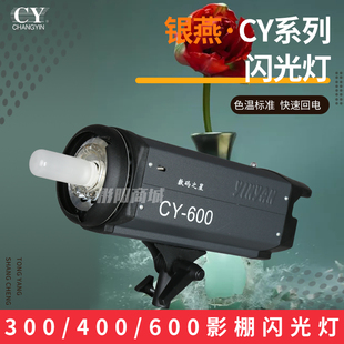 银燕CY-300摄影闪光灯600W摄影灯专业摄影棚室内400W影室灯影棚灯