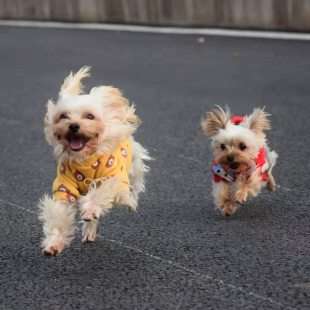 包邮 小店满49元 邮费链接 补邮费