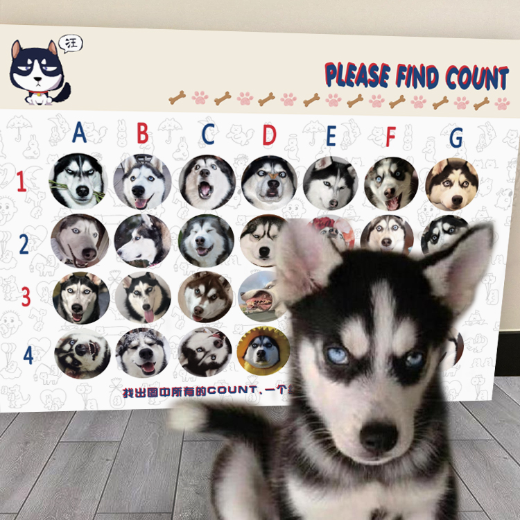 定制接亲找宠物狗狗猫猫游戏道具婚礼创意 结婚拦堵门 认猫咪狗子