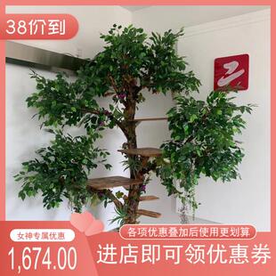 去皮枯树树枝树干套装猫树商场咖啡餐厅猫咖装饰猫爬架造型碳化木