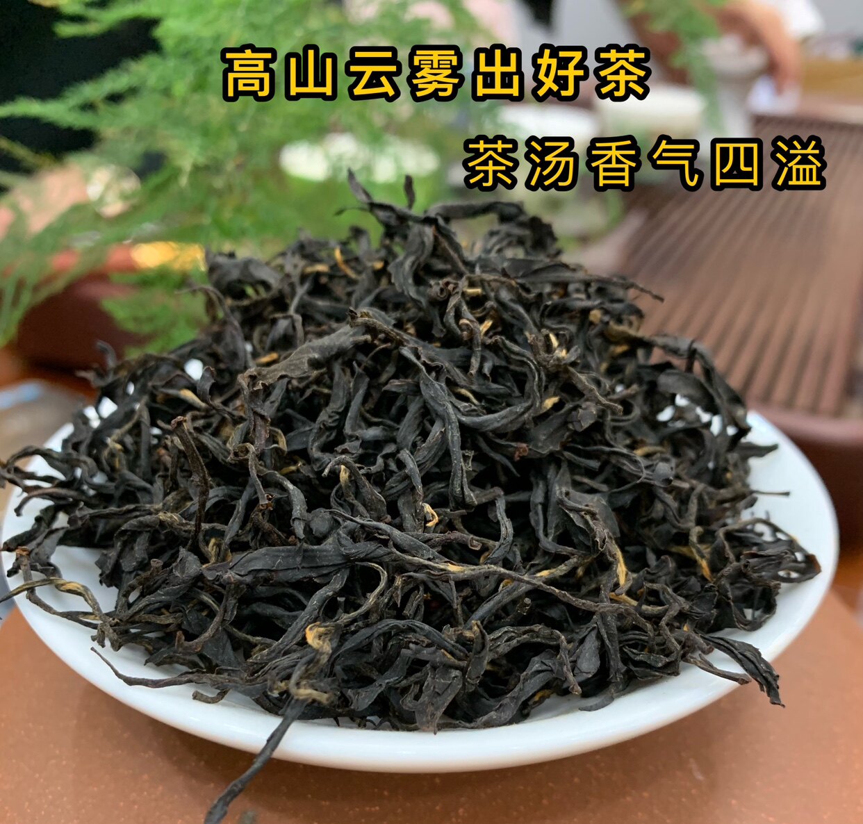 云南高海拨荒野古树红茶 800年树龄 香爽韵味迷人