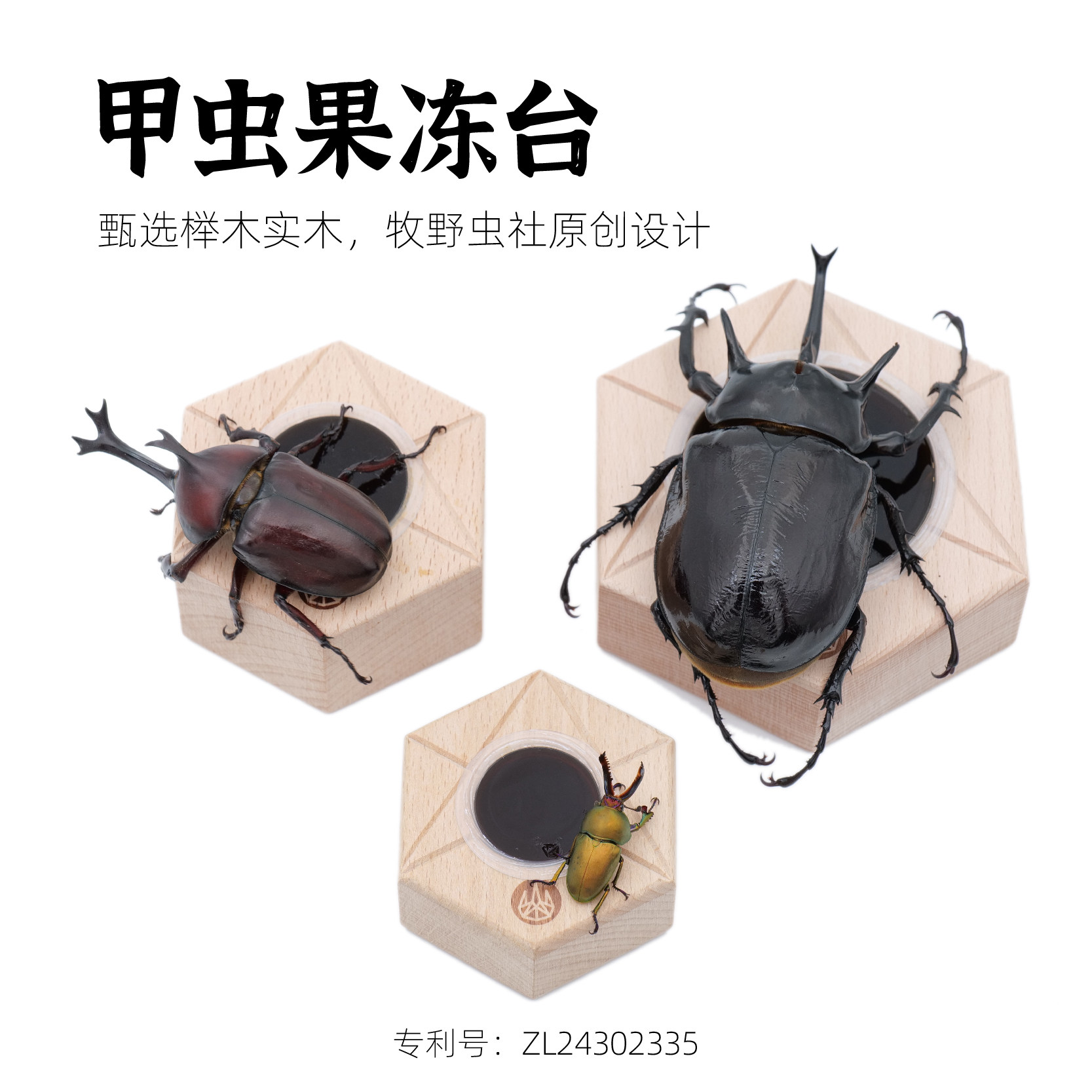 牧野虫社甲虫果冻台独角仙图片