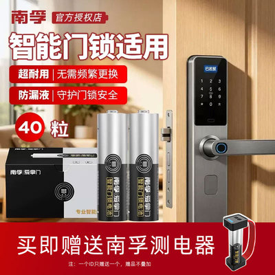 南孚爱掌门电池5号门锁定制装智能门锁电池碱性密码锁电子锁指纹锁专用电池五号玩具遥控鼠标LR6 1.5v不漏液