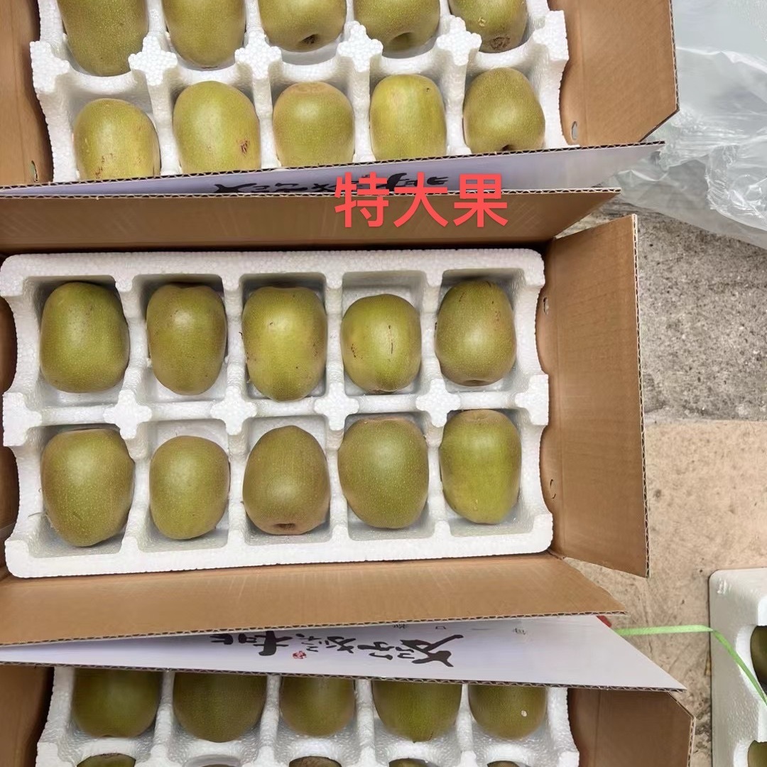 蒲江柳疏家红心猕猴桃小箱装净重4.8斤起孕妇老人儿童2025年新