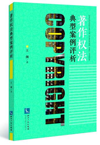 著作权法典型案例评析 王渊 著作权法 典型案例 知识产权出版社