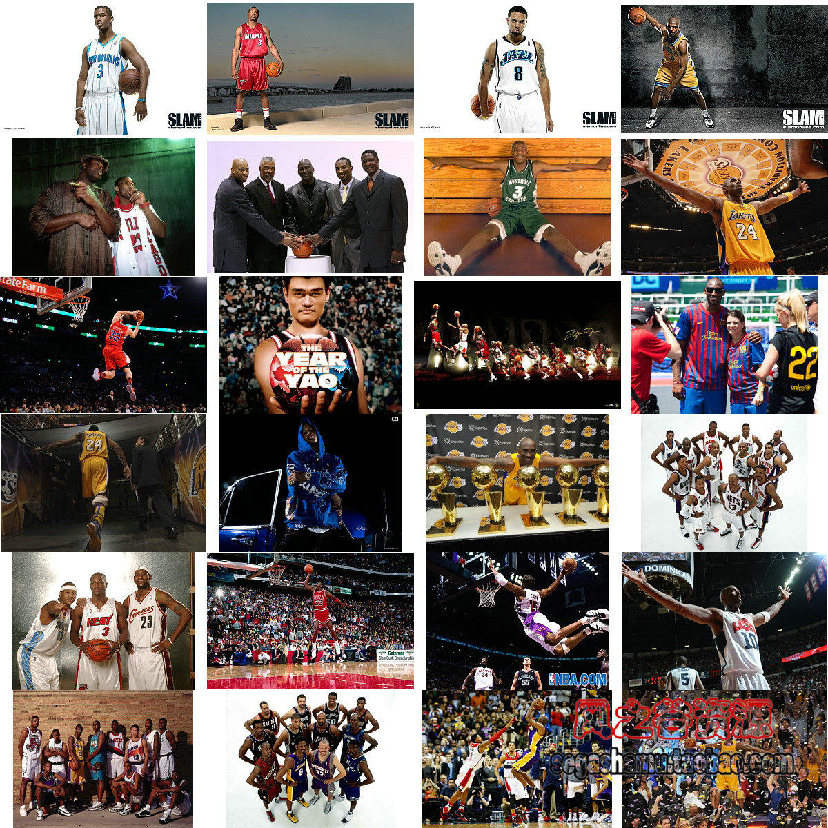 摄影素材图库nba篮球明星超值珍藏人像摄影照片图片200张