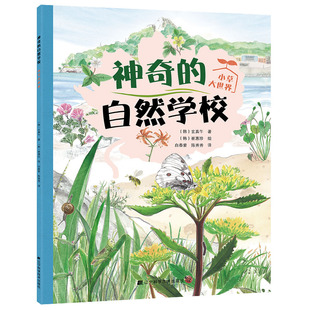玄真午 著 崔惠珍 神奇 与大自然一起做游戏 小草大世界 绘 保护自然环境 自然学校