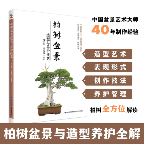 柏树盆景造型与养护技艺 盆景书籍养花图书大全树木盆景造型设计书栽培技术入门教程中小型花卉盆景制作教材技艺