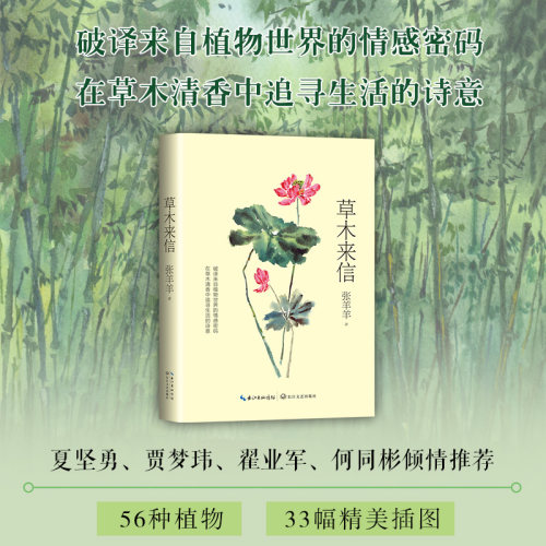 草木来信 张羊羊著 56种植物33幅精美插图一草一木皆有诗意 夏坚勇贾梦玮翟业军何同彬倾情推荐 名家植物散文