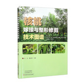 核桃嫁接与整形修剪技术图谱 核桃嫁接育苗技术核桃嫁接技术核桃高接换优技术核桃树整形修剪技术书籍