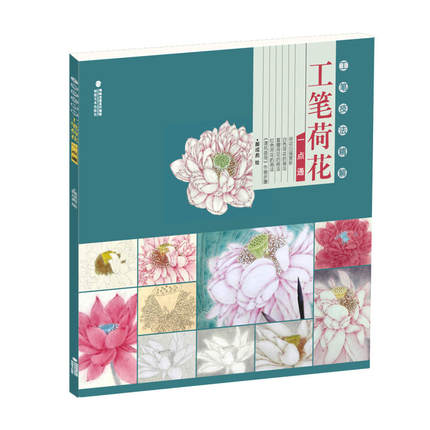 工笔技法精解工笔荷花一点通 工笔画白描底稿工笔花鸟画册国画白描技法解析临摹绘画基础教程 工笔荷花白描勾线线描画谱芥子园画册