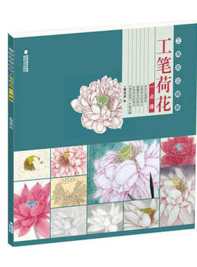工笔技法精解工笔荷花一点通 工笔画白描底稿工笔花鸟画册国画白描技法解析临摹绘画基础教程 工笔荷花白描勾线线描画谱芥子园画册