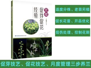 兰花促芽促花经验 陆明祥 兰花栽培种植技术书籍兰花种植经验方法技巧病虫害防治农药生长素使用指导