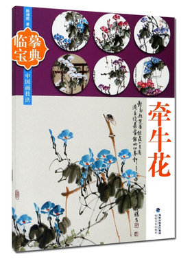 牵牛花临摹宝典 中国画技法工笔画水彩墨册页 牵牛花技法画法 步骤演示构图临摹专业美术 绘画技法技巧基础入门教程