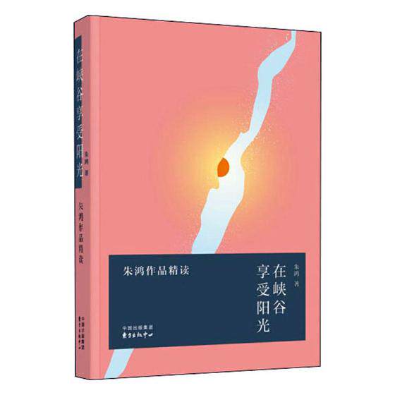 在峡谷享受阳光/朱鸿作品精读 朱鸿 书店 日记、书信书籍