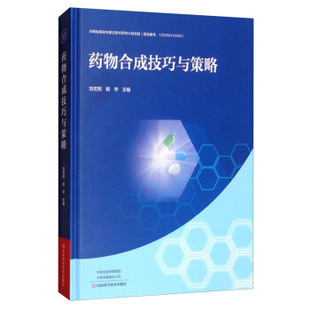 刘宏民 药物合成技巧与策略 药物合成理论知识药物合成技巧方法合成过程实验工艺技术药物合成设计规则原理策略技巧书