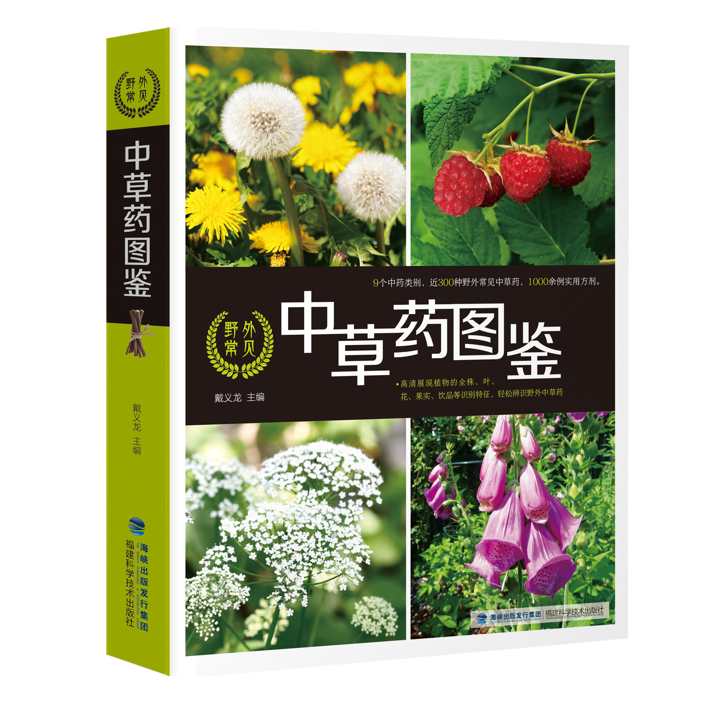 图解中草药图谱大全 本草纲目 中草药彩图大全 中草药野外识别彩色