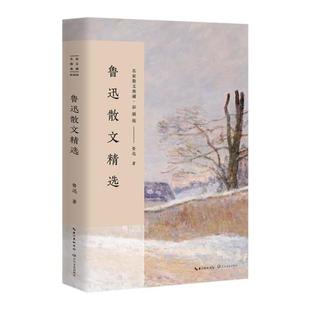 正版 书籍 中国现当代随笔文学作品集 名家散文典藏 文学书 随笔作品集 彩插版 鲁迅精品代表作全集名家散文经典 鲁迅散文精选 名