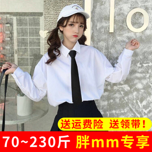 特大码领带白衬衫女学院风胖妹妹显瘦设计感小众加绒加肥衬衣秋冬