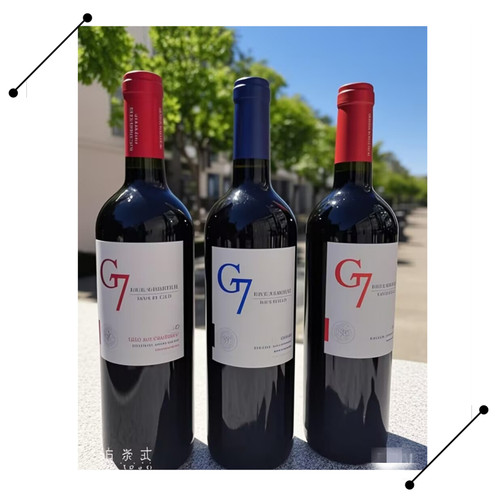 智利原瓶进口G7红酒750ml干红葡萄酒西餐酒吧 聚会小酌洋酒礼品